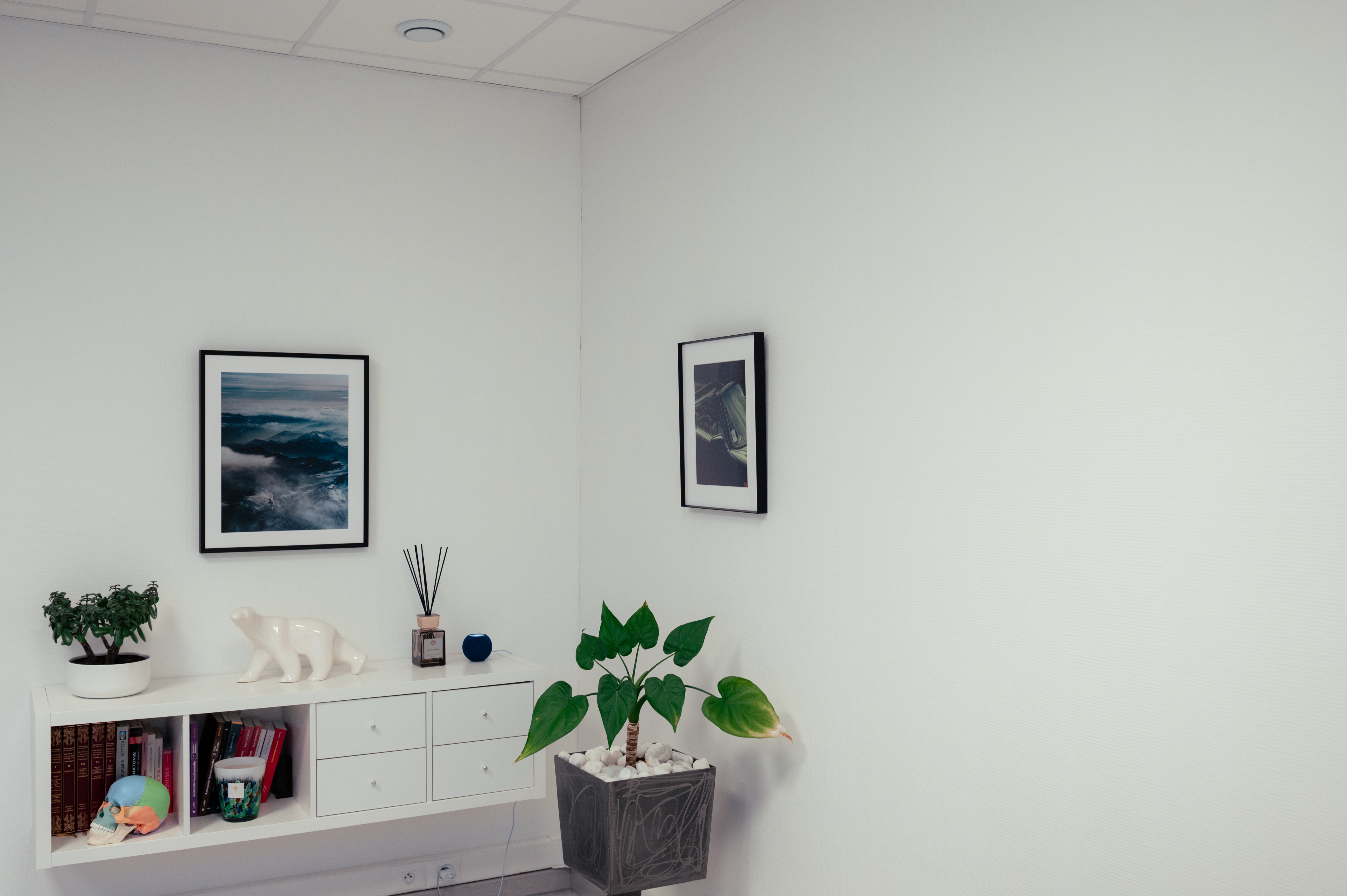 Décoration du cabinet