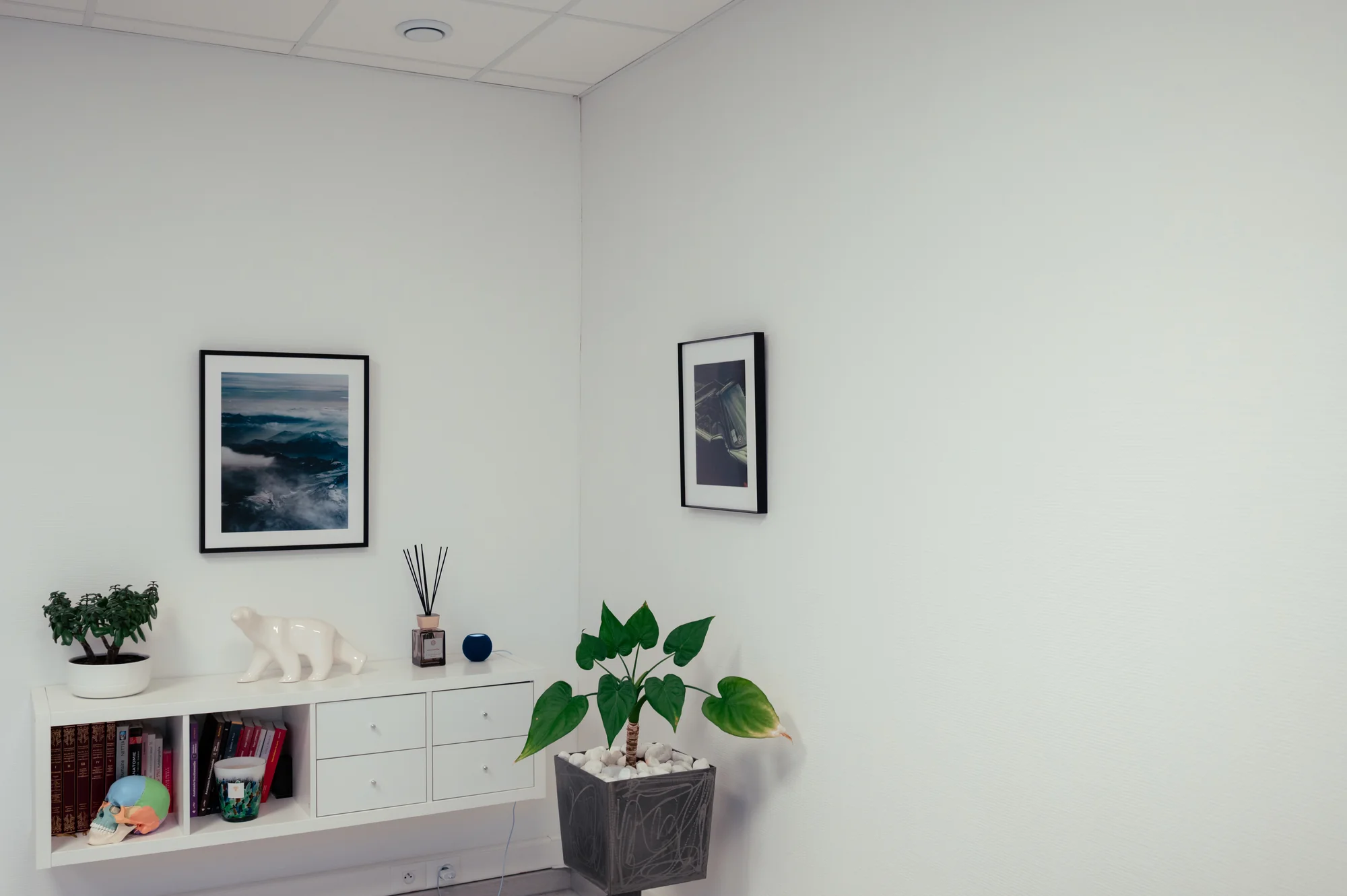Décoration du cabinet